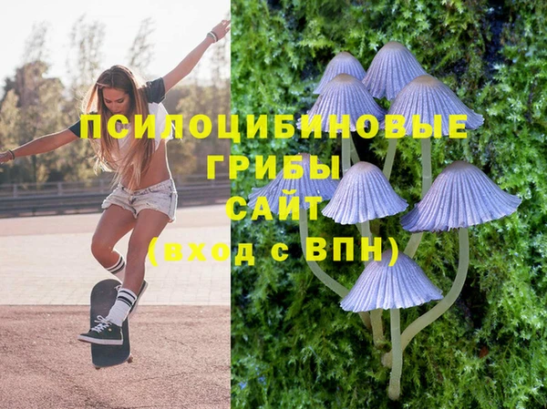 спайс Балабаново